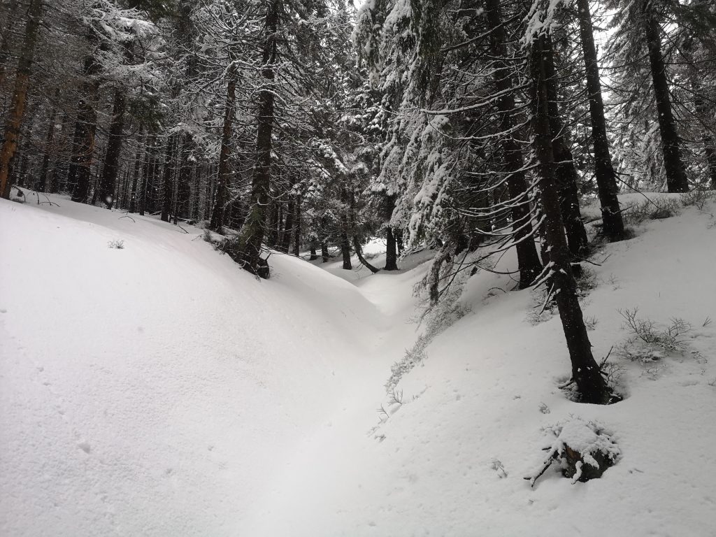 Ski pec